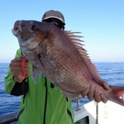 鯛紅丸 釣果
