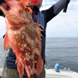 鯛紅丸 釣果