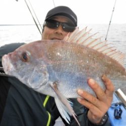 鯛紅丸 釣果