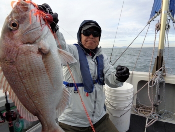 鯛紅丸 釣果
