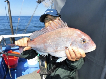 鯛紅丸 釣果