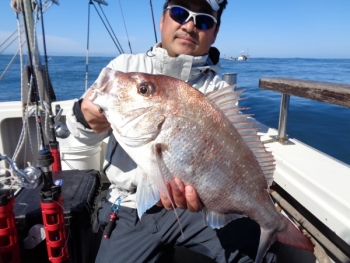 鯛紅丸 釣果