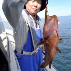 鯛紅丸 釣果