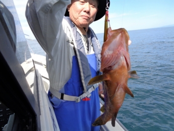 鯛紅丸 釣果