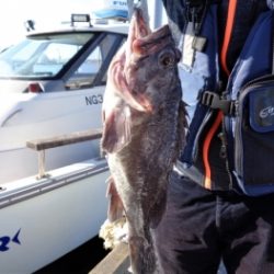 鯛紅丸 釣果