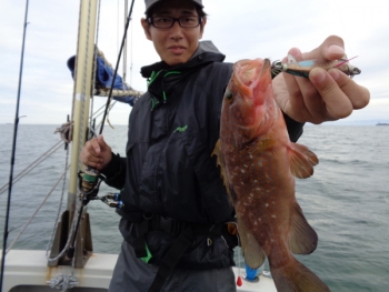 鯛紅丸 釣果