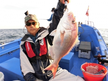 鯛紅丸 釣果