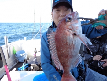 鯛紅丸 釣果