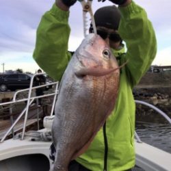 鯛紅丸 釣果