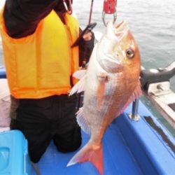 鯛紅丸 釣果