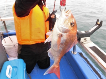 鯛紅丸 釣果