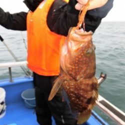 鯛紅丸 釣果