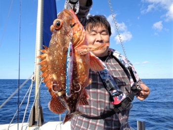 鯛紅丸 釣果
