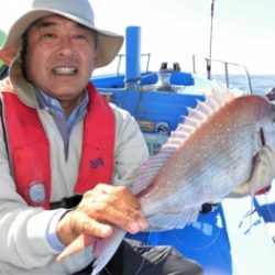 鯛紅丸 釣果