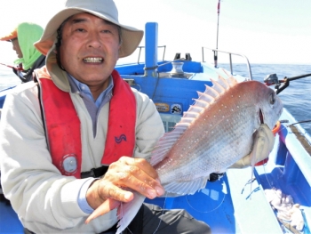 鯛紅丸 釣果