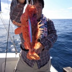 鯛紅丸 釣果