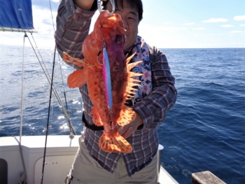 鯛紅丸 釣果