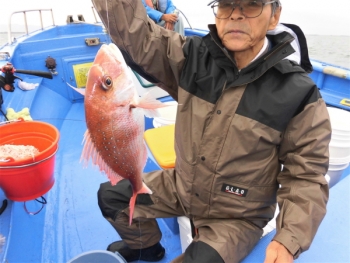 鯛紅丸 釣果