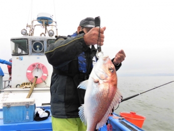 鯛紅丸 釣果
