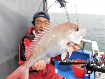 鯛紅丸 釣果