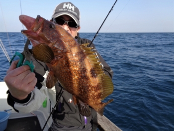 鯛紅丸 釣果