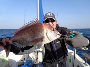 鯛紅丸 釣果