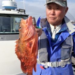 鯛紅丸 釣果