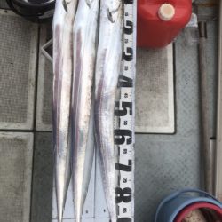 釣船 浦島太郎 釣果