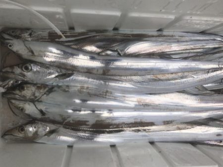 釣船 浦島太郎 釣果