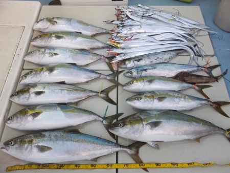 Hit Rush(ヒット ラッシュ） 釣果