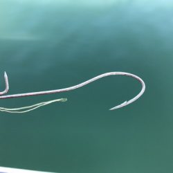 釣船 浦島太郎 釣果