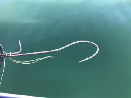 釣船 浦島太郎 釣果