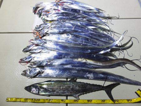 Hit Rush(ヒット ラッシュ） 釣果…