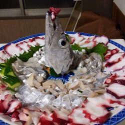 釣船 浦島太郎 釣果