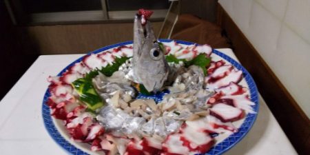 釣船 浦島太郎 釣果