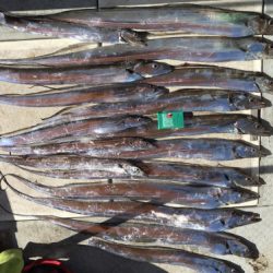 釣船 浦島太郎 釣果