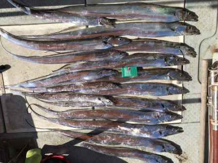 釣船 浦島太郎 釣果