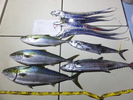 Hit Rush(ヒット ラッシュ） 釣果…