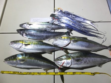 Hit Rush(ヒット ラッシュ） 釣果…