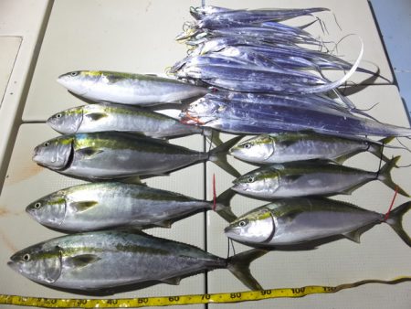 Hit Rush(ヒット ラッシュ） 釣果…