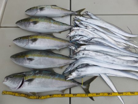 Hit Rush(ヒット ラッシュ） 釣果…