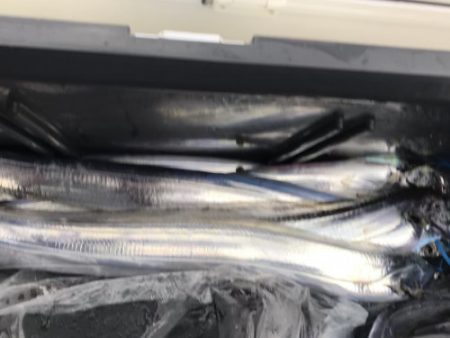 釣船 浦島太郎 釣果