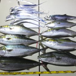 Hit Rush(ヒット ラッシュ) 釣果