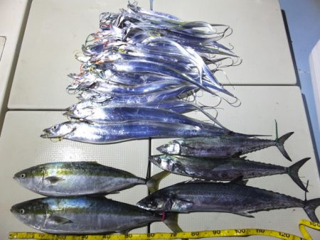 Hit Rush(ヒット ラッシュ） 釣果…