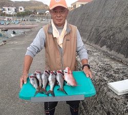 長七丸 釣果
