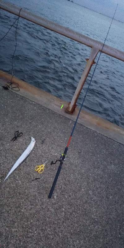 どじょう最強！