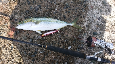 まあまあな結果