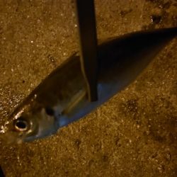 ラインメンディング