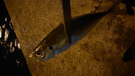 ラインメンディング