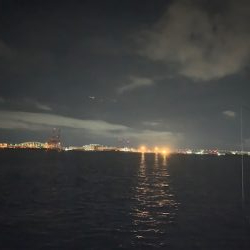 ドラゴンサイズが毎回釣れる